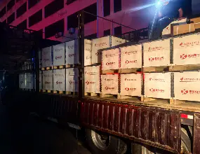 El proceso de envío diurno y nocturno garantiza la entrega a tiempo